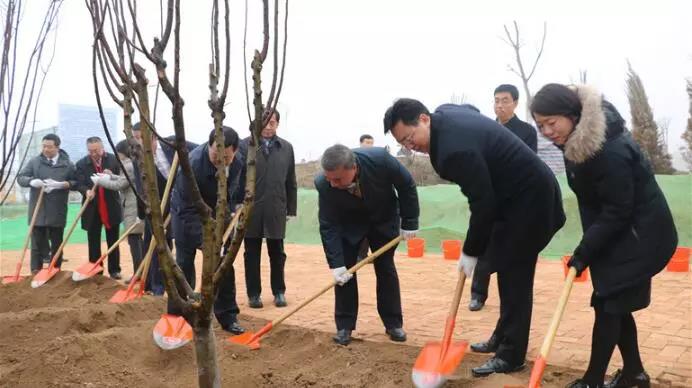 mg不朽情缘(中国)官方网站